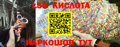 гидропоника Рязань